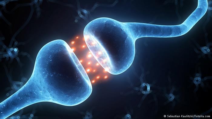 Synapse zwischen zwei Nervenzellen
Foto: Sebastian Kaulitzki/Fotolia.com