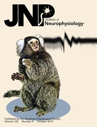 Journal of Neurophysiology 122 6 cover image