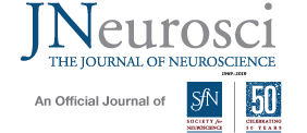 Journal of Neuroscience